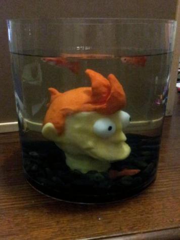 "Head in a jar" aquarium