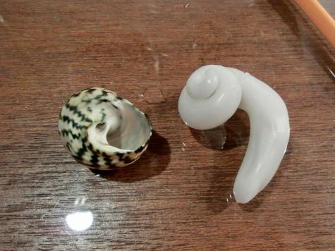 Snail fridge magnets
